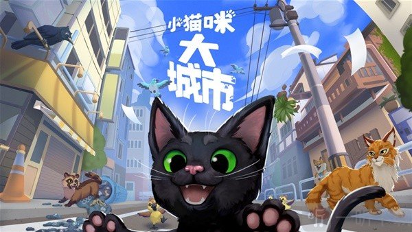 小猫咪大城市游戏售价 小猫咪大城市游戏多少钱