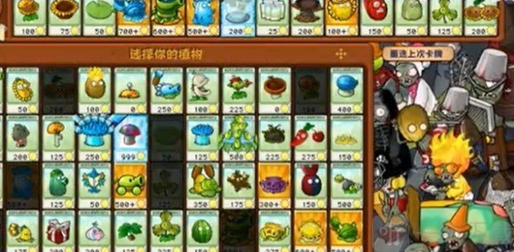 植物大战僵尸杂交版冒险模式63过关攻略 植物大战僵尸杂交版63关怎么过